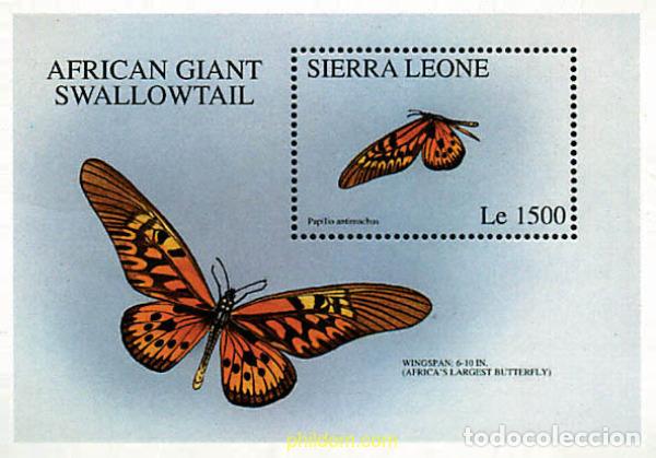 Briefmarken: 712972 MNH SIERRA LEONA 1996 MARIPOSAS