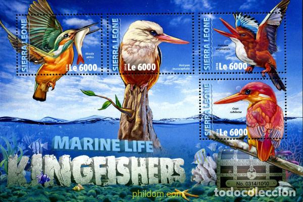 Briefmarken: 363933 MNH SIERRA LEONA 2016 MARTIN PESCADOR