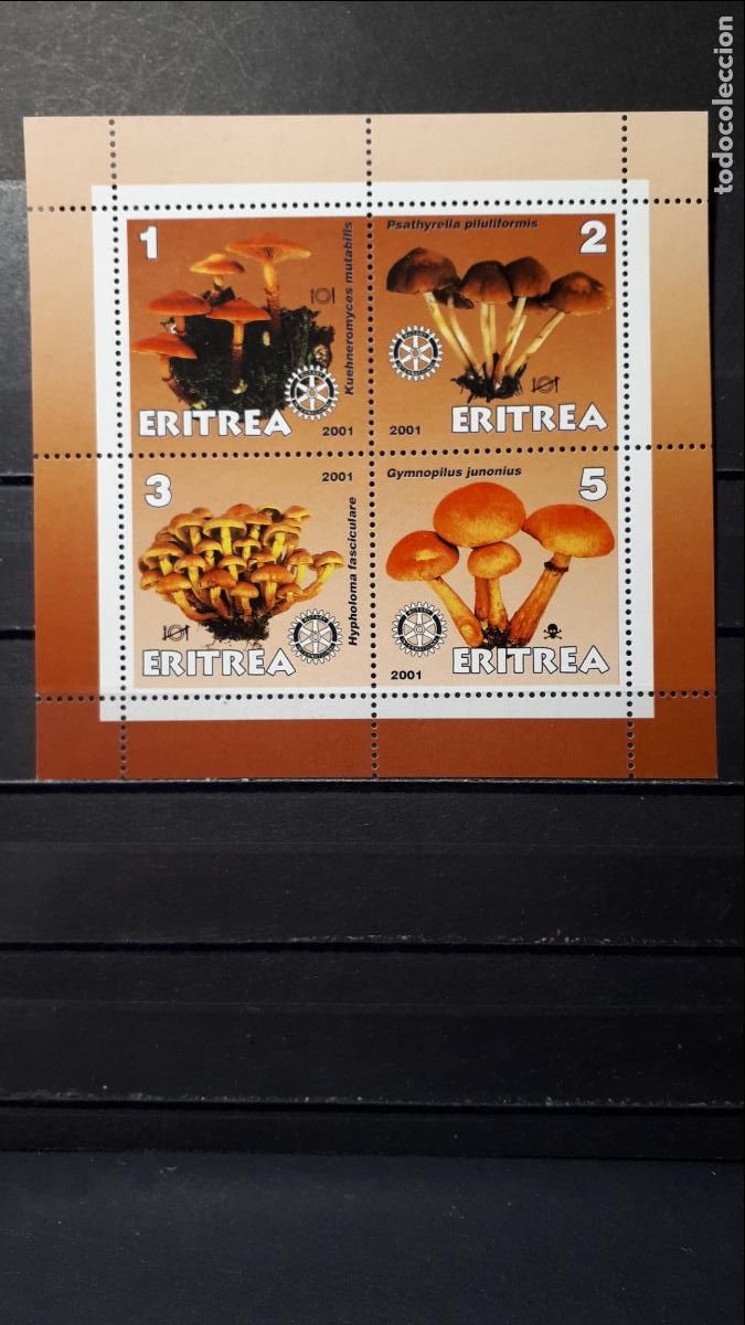 Sellos: ERITREA. A&Ntilde;O 2001. **. HOJA BLOQUE - Foto 1