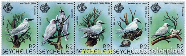 Stamps: 181998 MNH SEYCHELLES 1981 AVES