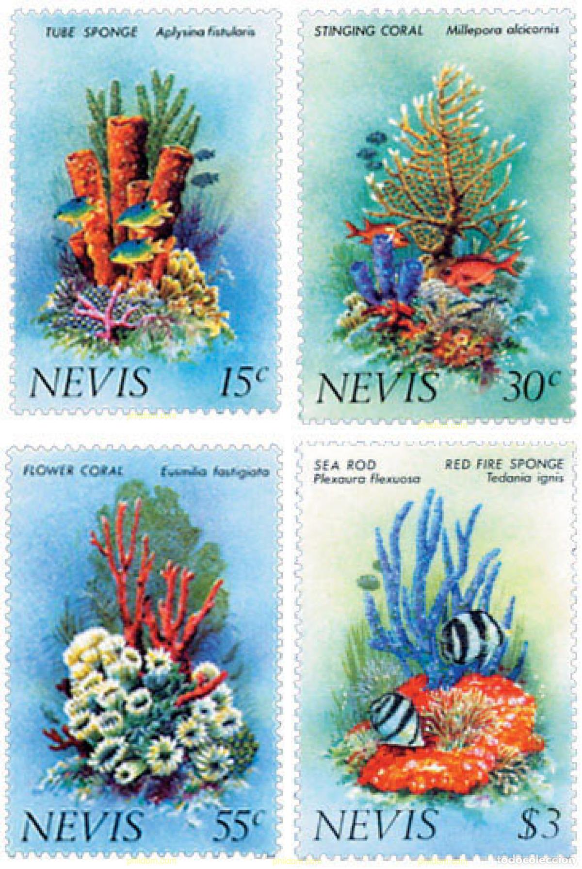 Timbres: 53177 MNH NEVIS 1983 CORALES