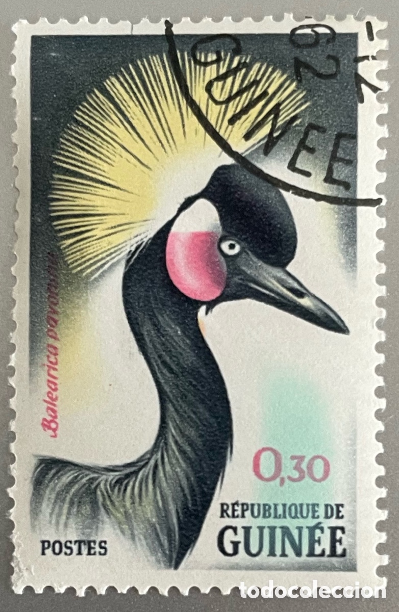 Selos: Guinea. Aves. Grulla. 1962