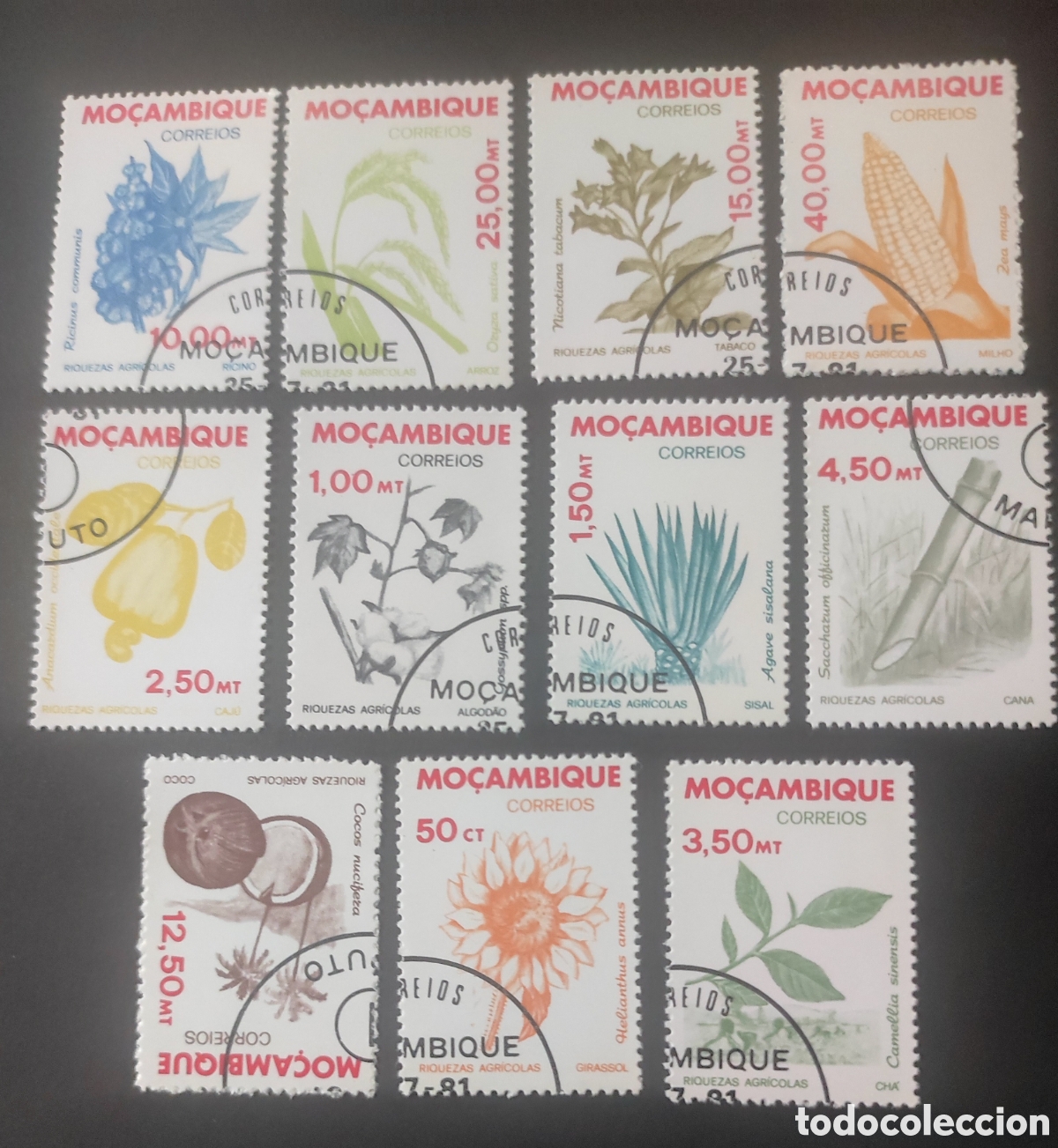 Sellos: Mozambique. 1981. Flora - Foto 1