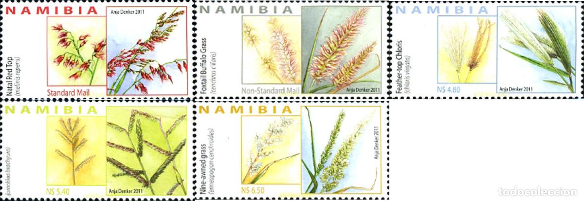 Sellos: 278229 MNH NAMIBIA 2011 - Foto 1
