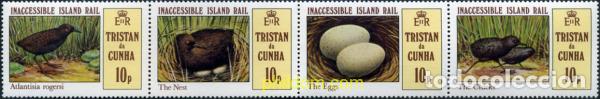 Briefmarken: 104730 MNH TRISTAN DA CUNHA 1981 AVES ACUATICAS