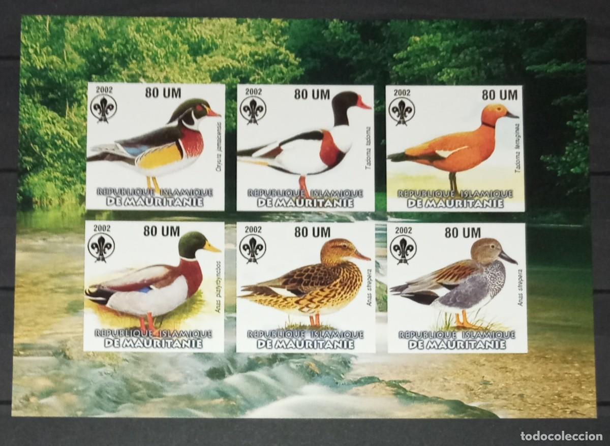 Selos: MAURITANIA 2002 SHEET MNH IMPERF FAUNA PATOS AVES ACUATICAS DUCKS BIRDS CANARDS ANATRE OISEAUX