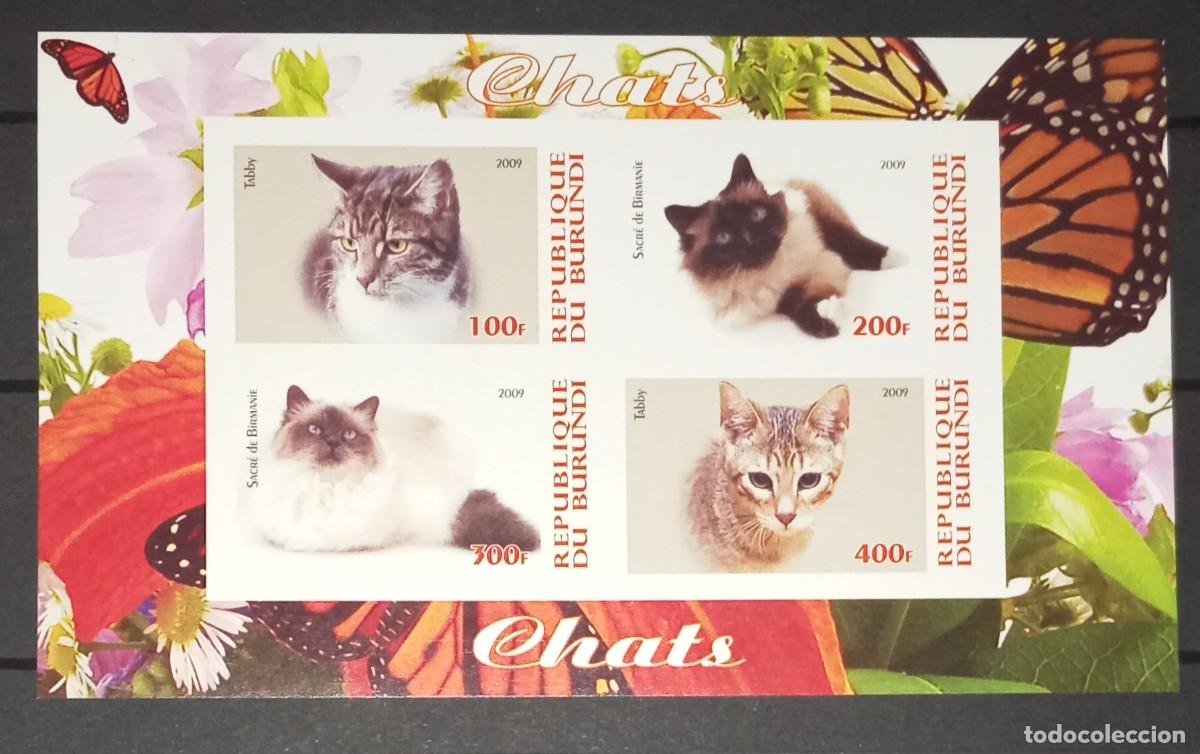 Briefmarken: BURUNDI 2009 SHEET MNH IMPERF CATS GATTI CHATS GATOS KATZEN