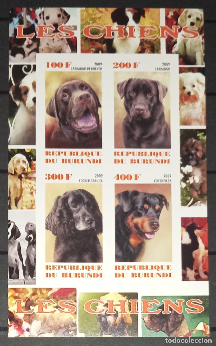 Stamps: BURUNDI 2009 SHEET MNH IMPERF DOGS CHIENS PERROS HUNDEN CANI CAES