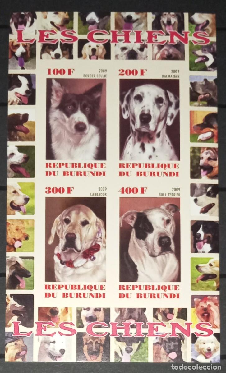 Timbres: BURUNDI 2009 SHEET MNH IMPERF DOGS CHIENS PERROS HUNDEN CANI CAES