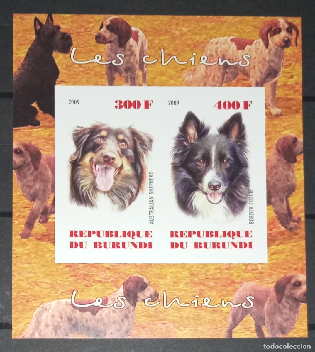 Timbres: BURUNDI 2009 SHEET MNH IMPERF DOGS CHIENS PERROS HUNDEN CANI CAES