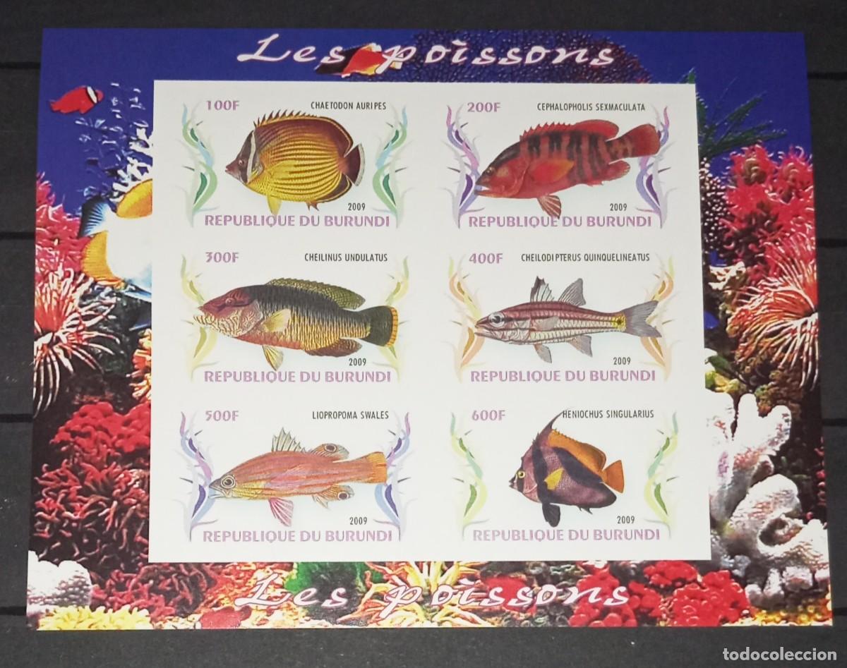 Timbres: BURUNDI 2009 SHEET MNH IMPERF FAUNA FISHES PECES POISSONS FISCHEN MARINE LIFE VIDA MARINA
