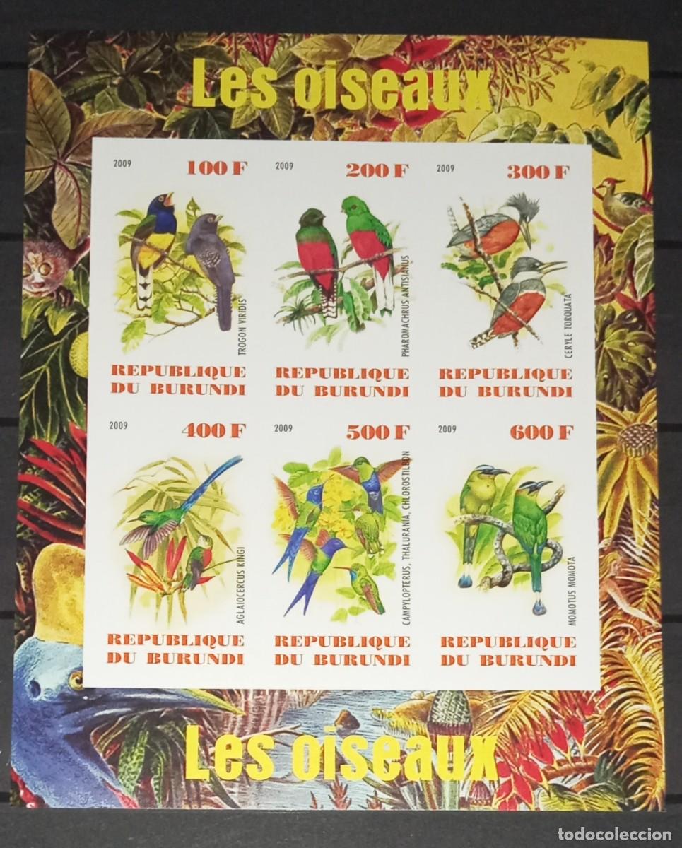 Stamps: BURUNDI 2009 SHEET MNH IMPERF FAUNA BIRDS OISEAUX AVES PAJAROS PARROTS PERROQUETS LOROS PAPAGEIEN