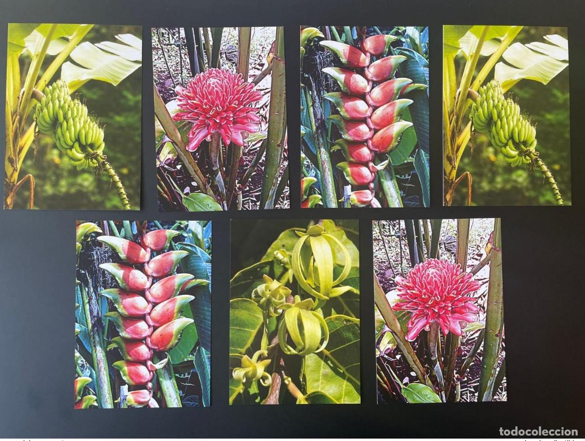 Sellos: Comoras 2011 Papeler&iacute;a Entier Ganzache Plantes Pflanzen Plants Flora