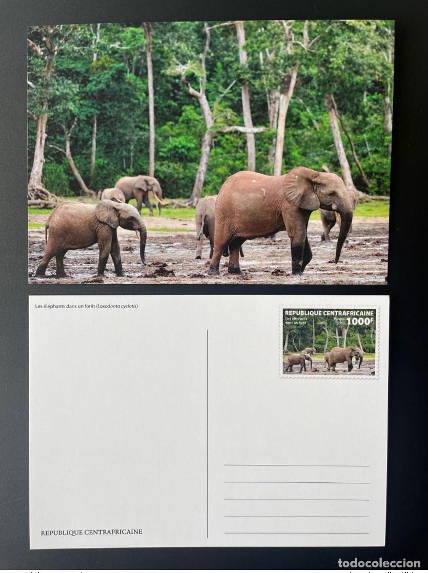 Sellos: Rep&uacute;blica Centroafricana 2019 Mi. 8630 Papeler&iacute;a entera Elefante Fauna