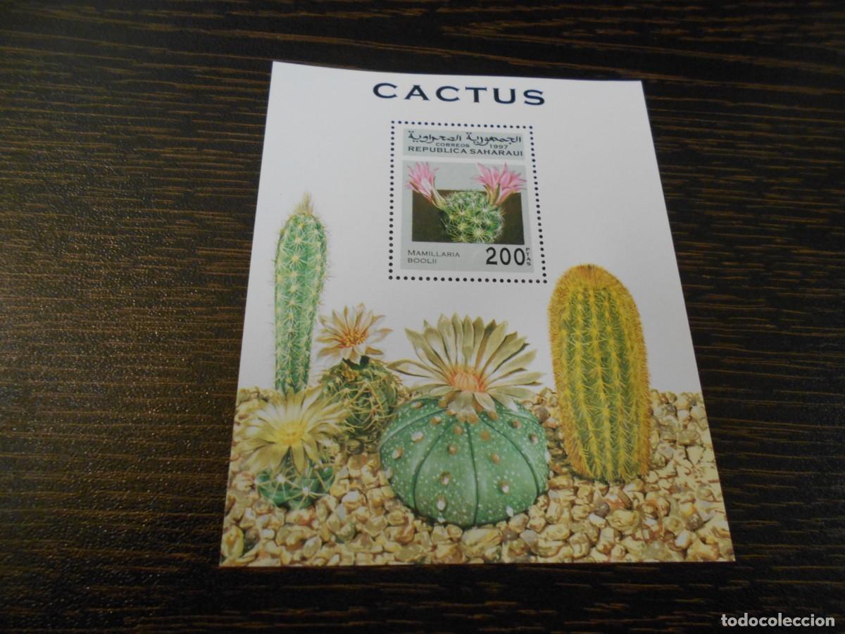Sellos: SAHARA OCCIDENTAL-RASD-HOJA BLOQUE 1997-CACTUS