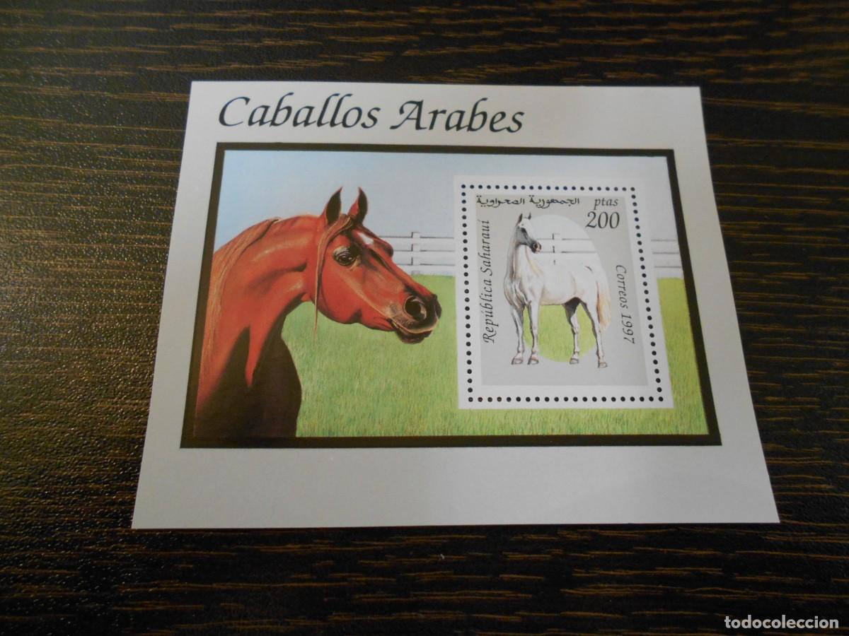Sellos: SAHARA OCCIDENTAL-RASD-HOJA BLOQUE 1997-CABALLOS &Aacute;RABES