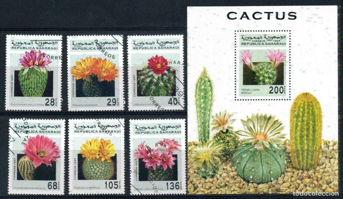 Sellos: RASD - Sahara - Rep&uacute;blica Saharaui 1997 Cactus