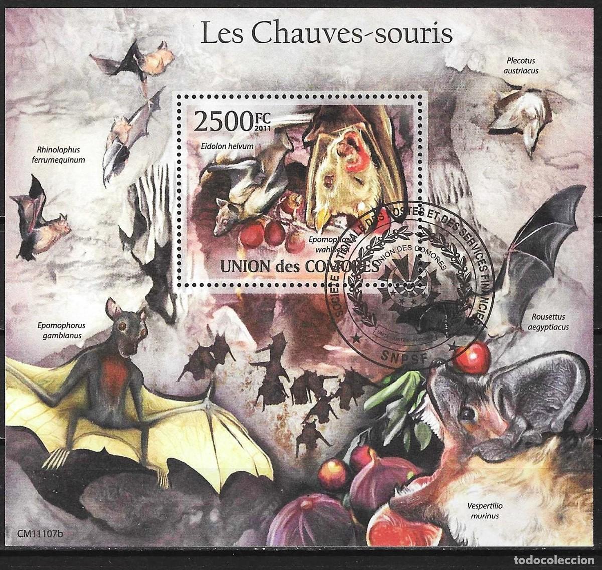 Sellos: Comoras 2011 - Mi BL 632 - YT BF 299 - Fauna : Murci&eacute;lagos