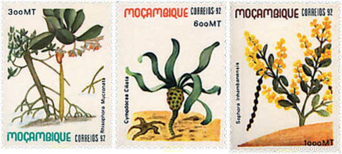 Sellos: 95125 MNH MOZAMBIQUE 1992 FLORA