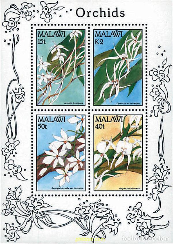 Sellos: 95900 MNH MALAWI 1990 ORQUIDEAS