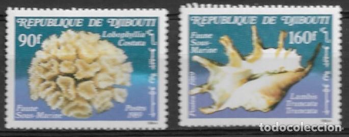 Sellos: DJIBOUTI 1989, Ivert 647/48 - CONCHAS MARINAS. MNH.