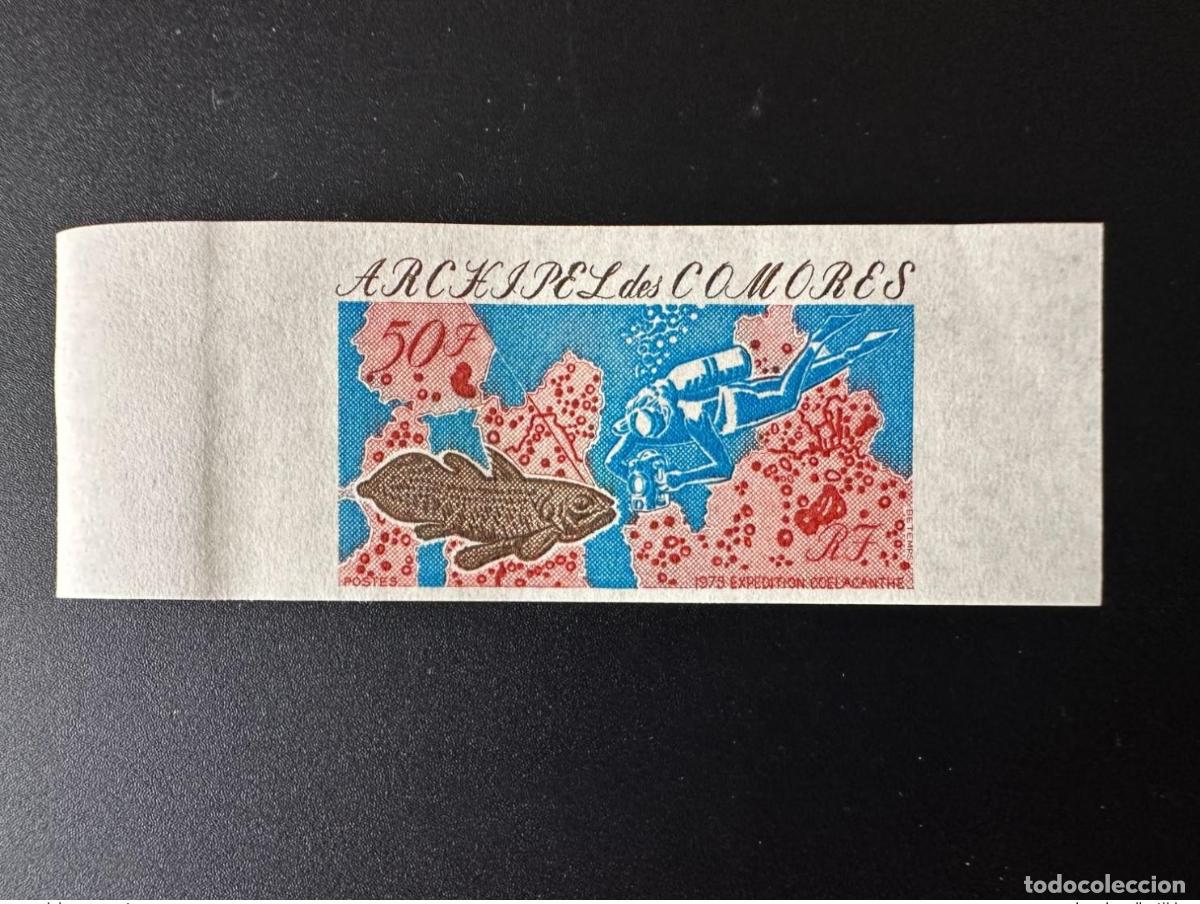 Sellos: Comoras 1975 Mi. 191 ND IMPERF Expedici&oacute;n Coelacanthe Peces y fauna marina