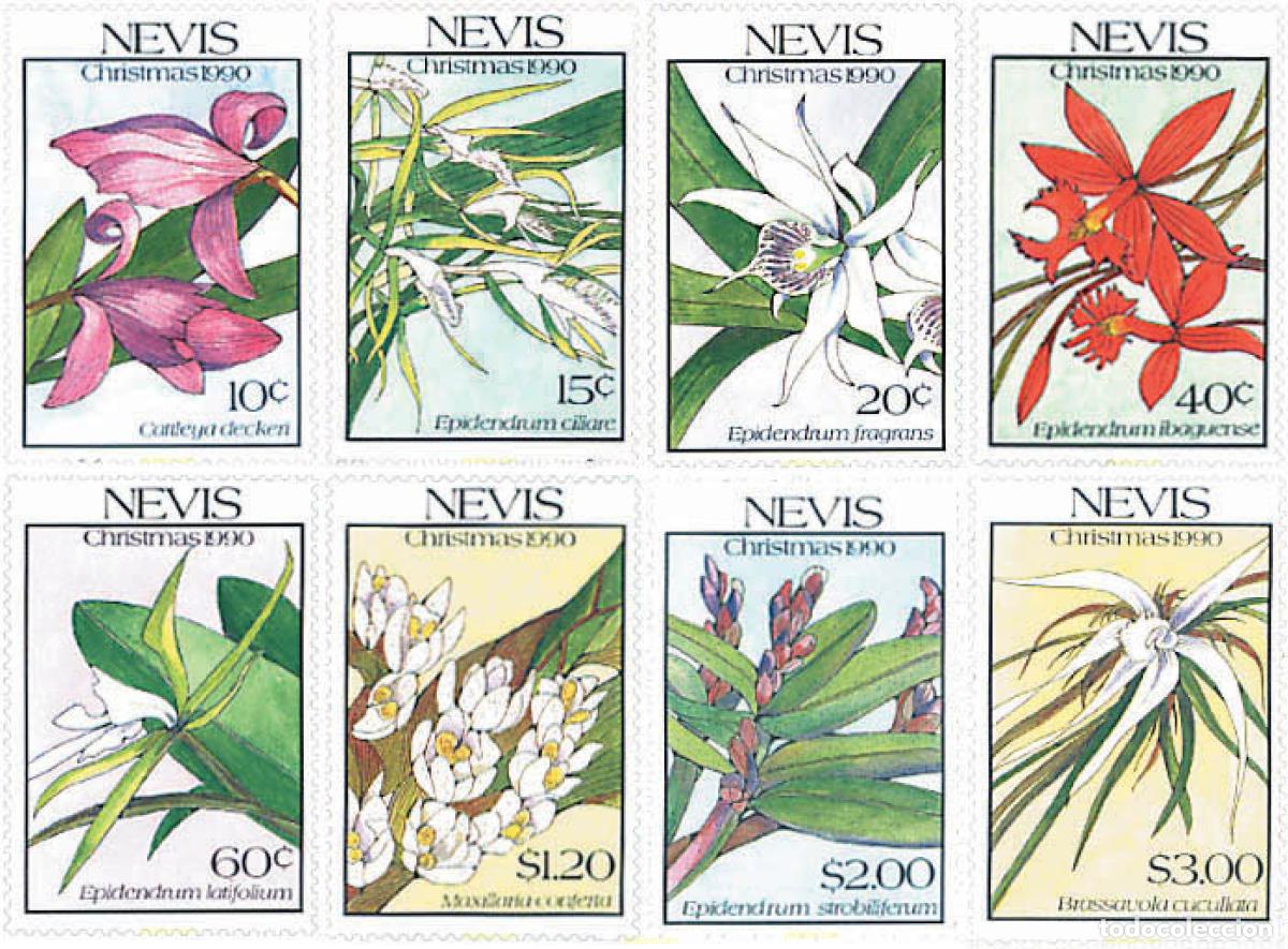 Sellos: 95699 MNH NEVIS 1990 NAVIDAD. ORQUIDEAS