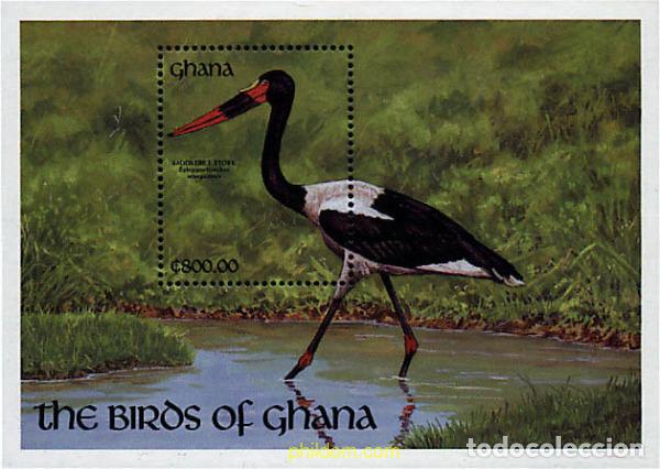 Sellos: 317408 MNH GHANA 1991 AVES