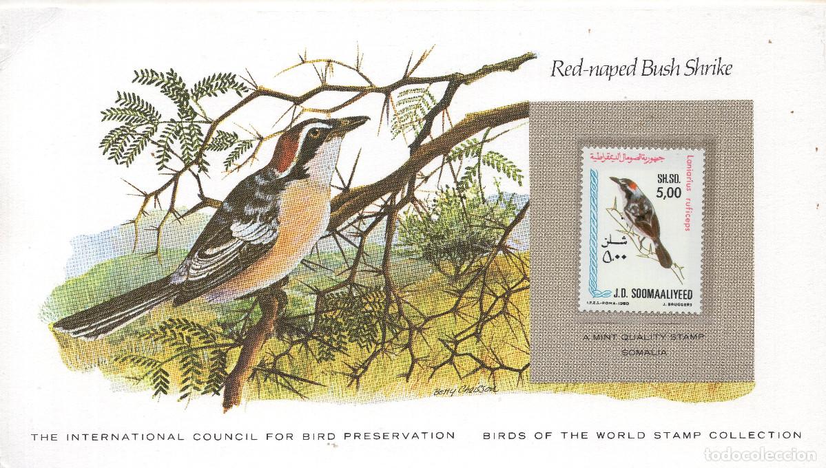 Sellos: SOMALILAND 1980, CARTA MNH MICHEL SO 296