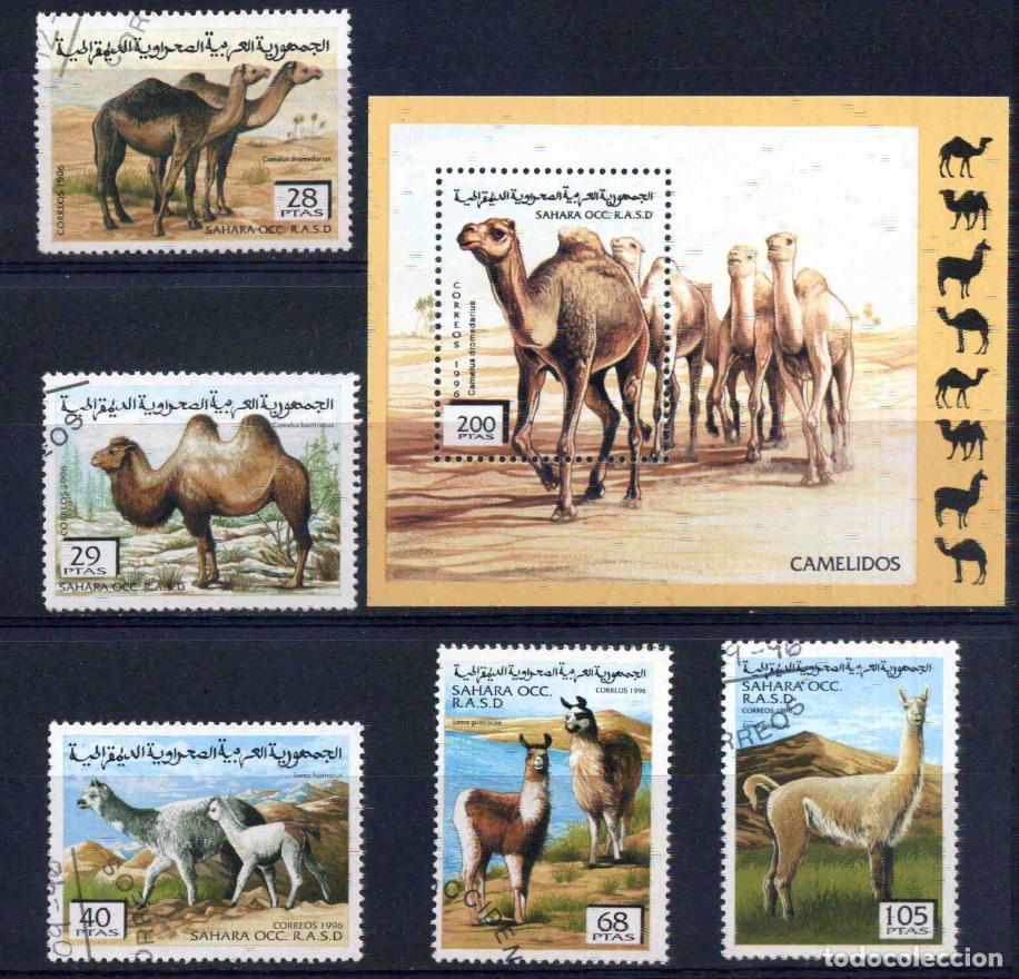 Sellos: RASD - Sahara Occ. 1996 Cam&eacute;lidos