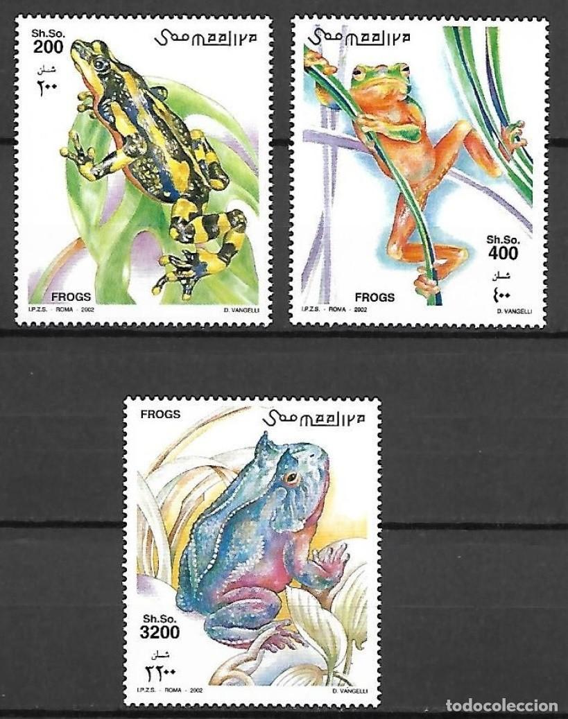 Sellos: SOMALIA 2002 3 STAMPS MNH FAUNA FROGS GRENOUILLES RANAS RAS FROSCHE ANFIBIOS AMPHIBIANS WILDLIFE
