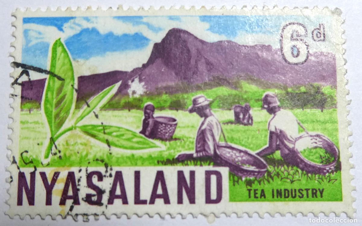 Sellos: sello postal de Nyasaland 6 peniques 1964 (actual Malawi), industria del t&eacute; en Nyasalandia.