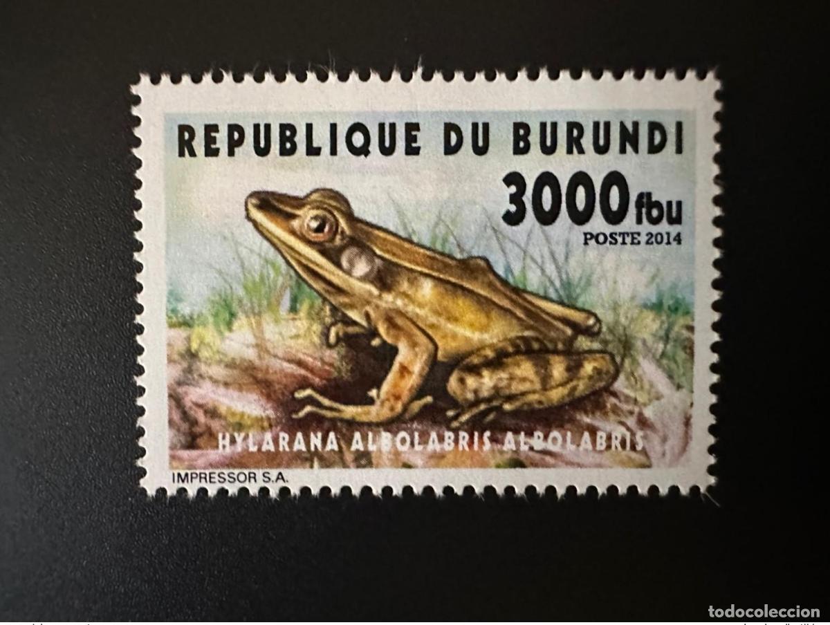 Sellos: Burundi 2014 Mi.? Rana Frosch fauna de ranas valores locales raros nunca vistos