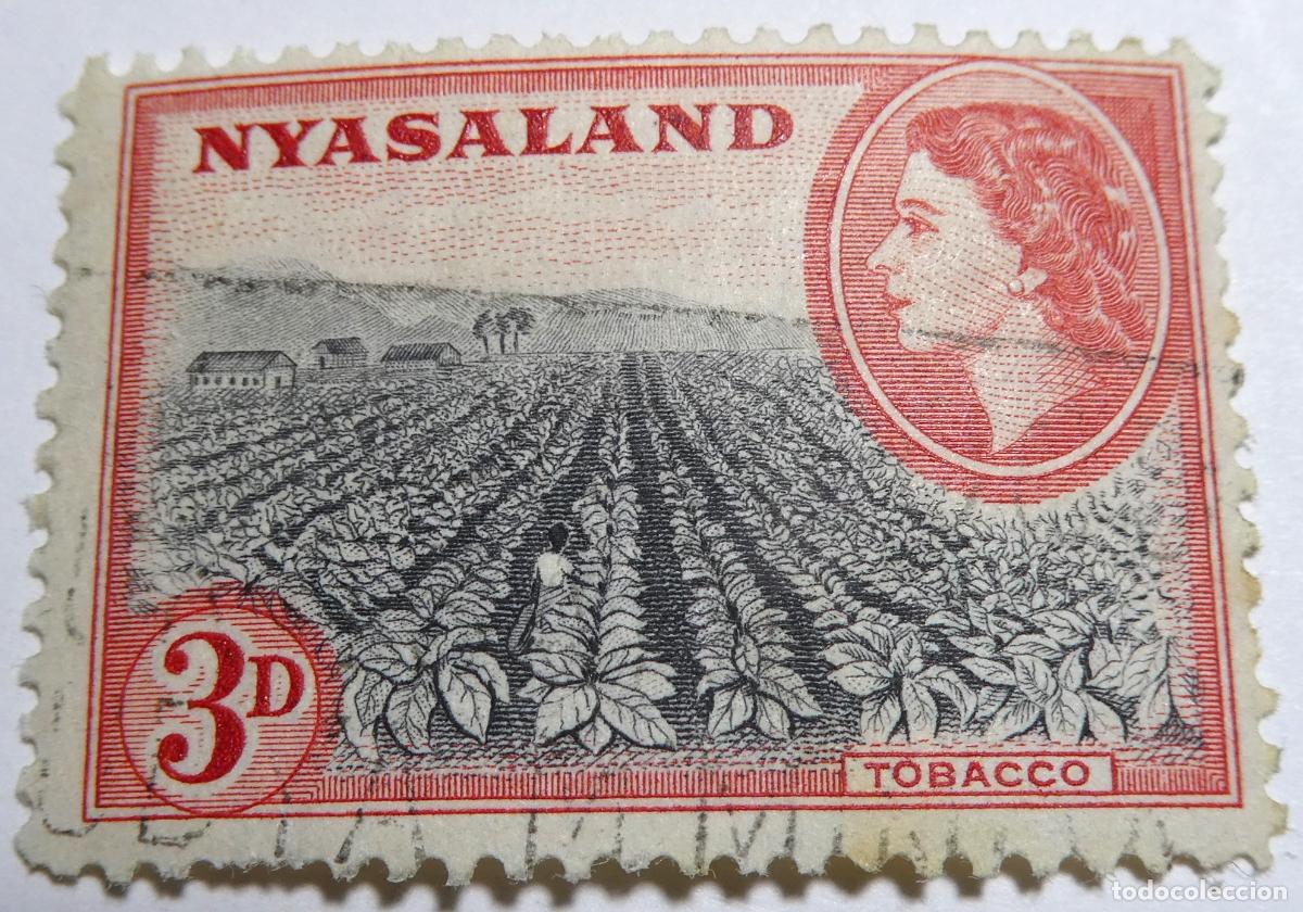 Sellos: sello postal de Nyasaland 3 peniques 1950 Reina Isabel II (actual Malawi), Campo de Tabaco