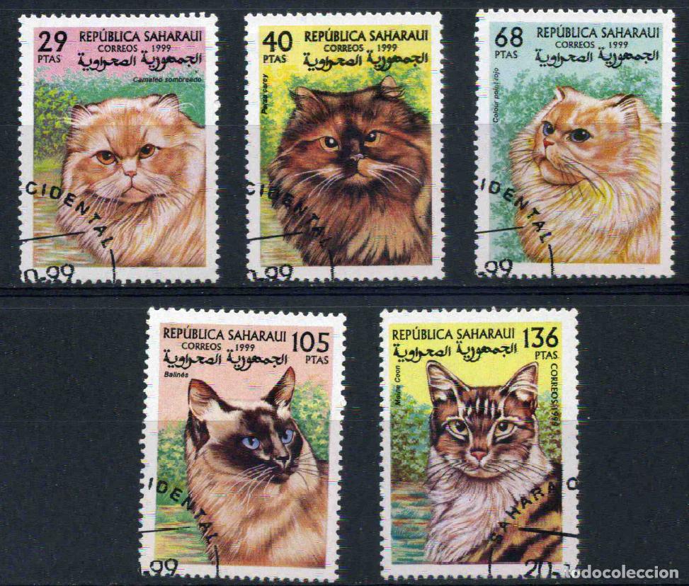 Sellos: RASD - Sahara - Rep&uacute;blica Saharaui 1999 - Gatos
