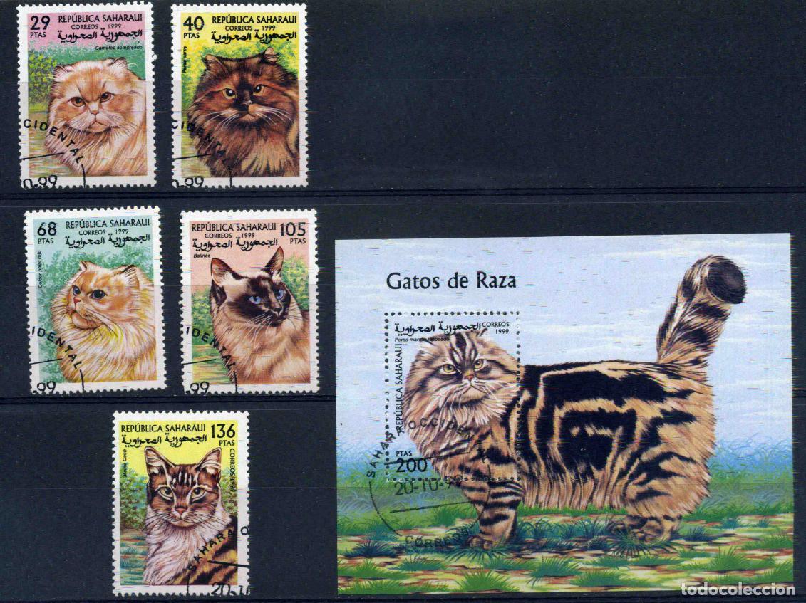 Sellos: RASD - Sahara - Rep&uacute;blica Saharaui 1999 - Gatos