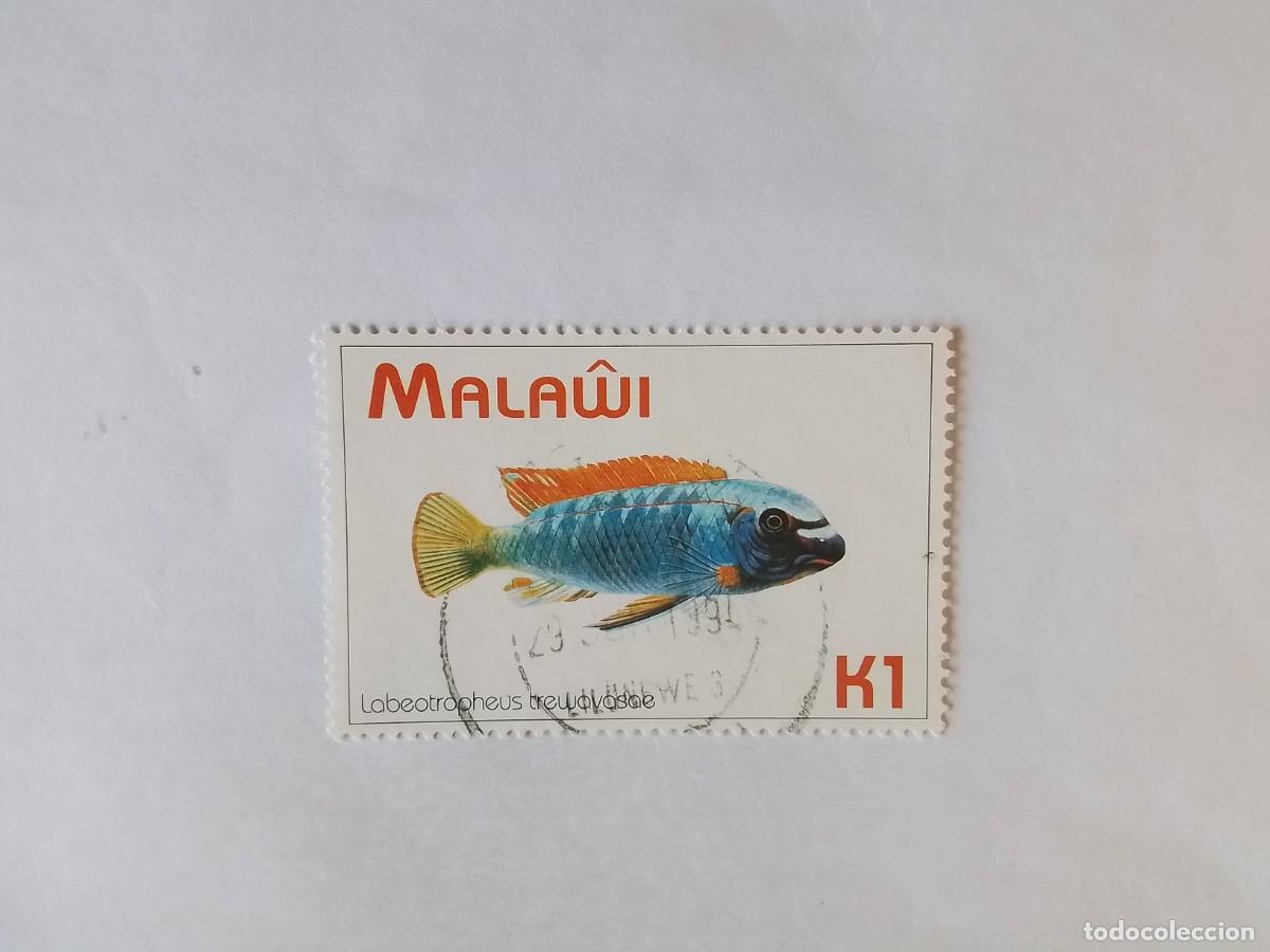 Sellos: &Aacute;FRICA MALAWI SELLO USADO