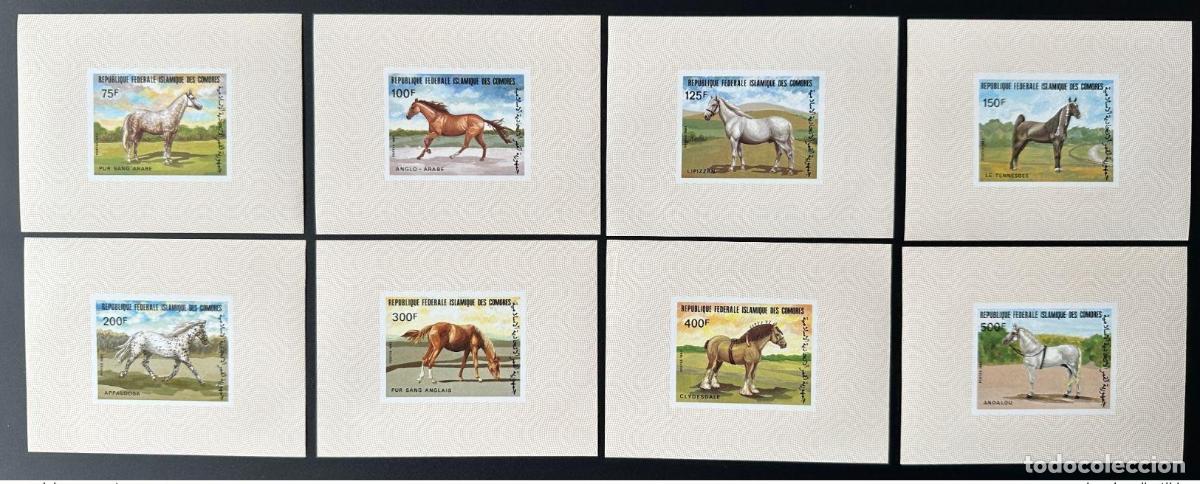 Sellos: Comoras 1983 Mi. 699 - 706 bloques de lujo ND Horses Pferde Fauna