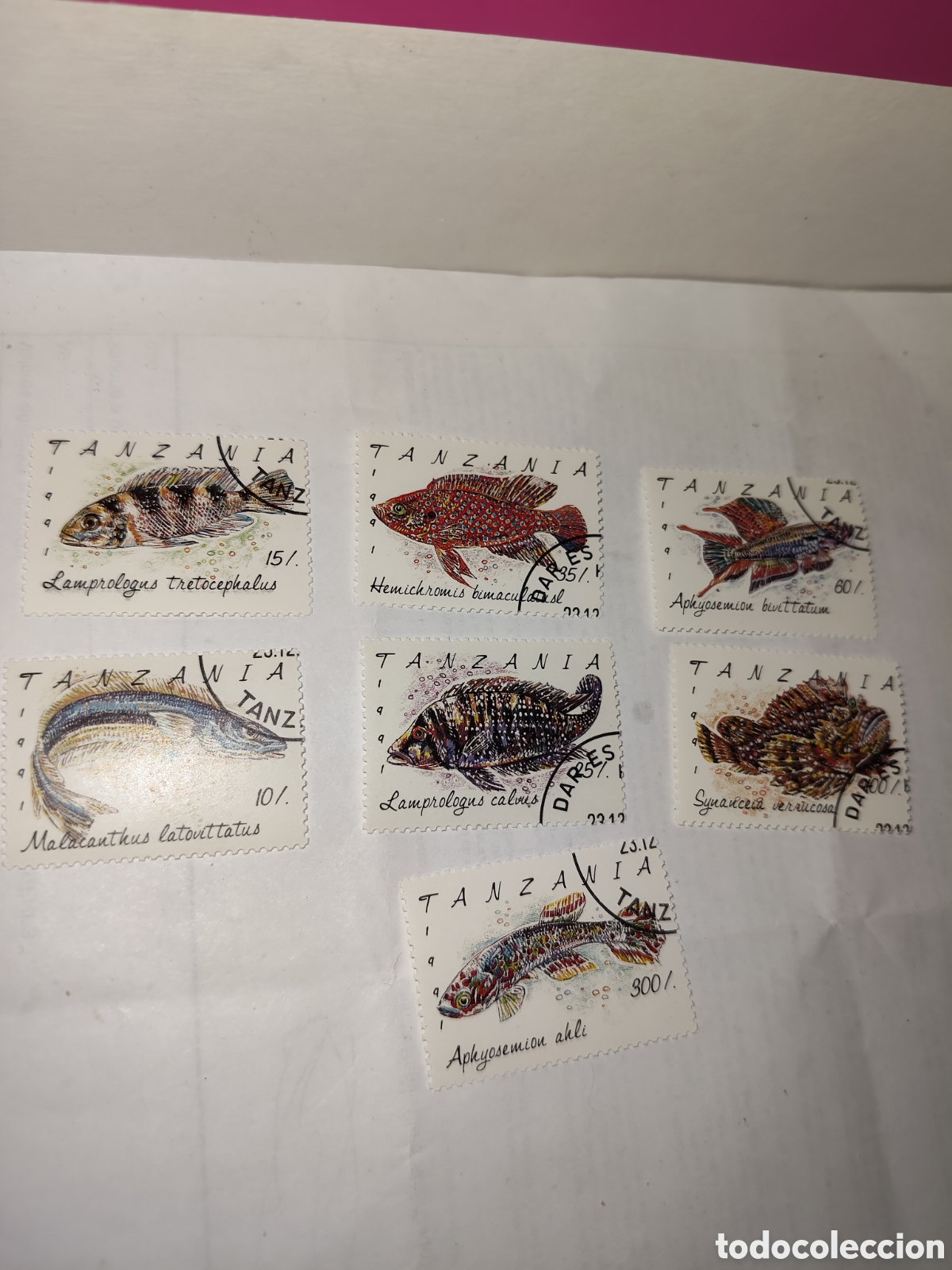 Stamps: 7 Sellos de Tanzania Peces de Tanzania 1992 muy buenos