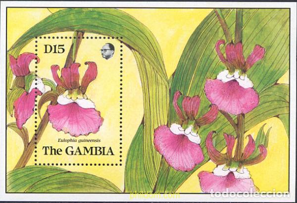 Sellos: 232191 MNH GAMBIA 1989 ORQUIDEAS