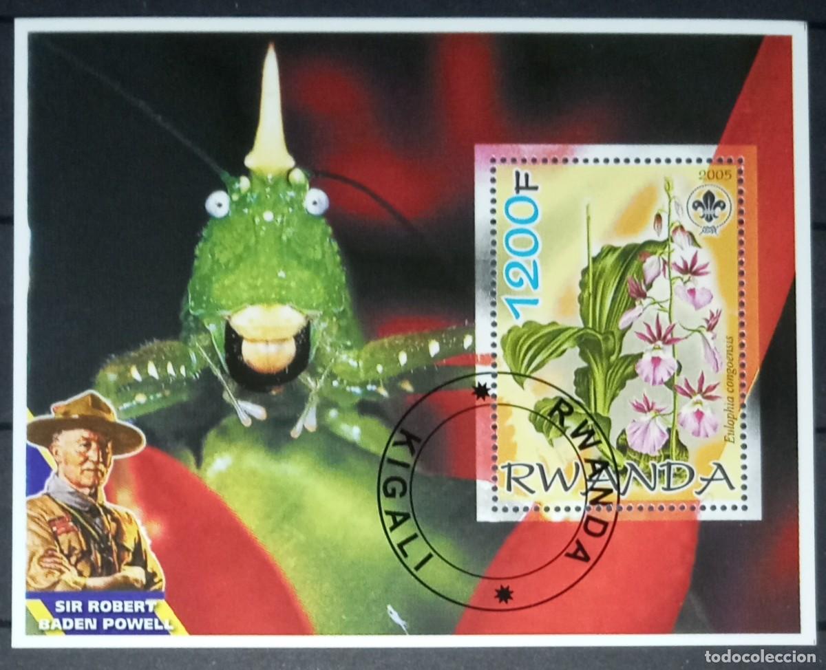 Briefmarken: RWANDA 2005 SHEET MNH USED BADEN POWELL FAUNA FLORES FLOWERS BLUMEN FIORI INSECTOS INSECTES INSEKTEN