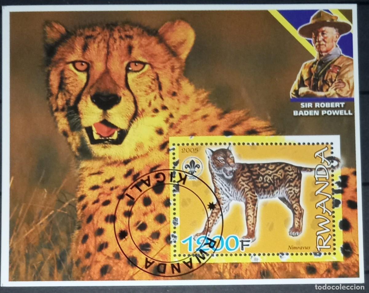 Timbres: RWANDA 2005 SHEET MNH USED BADEN POWELL FAUNA MAMIFEROS WILDLIFE FELINES FELINOS FELINS RAUBKATZEN