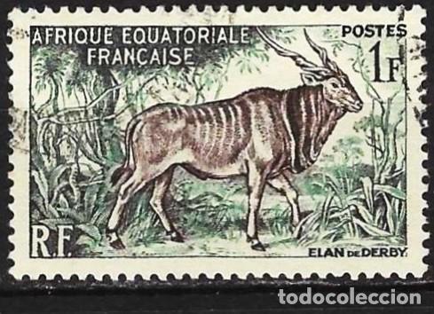 Sellos: &Aacute;frica Ecuatorial francesa (AEF) 1957 - Mi 305 - YT 238 - Fauna : Eland gigante