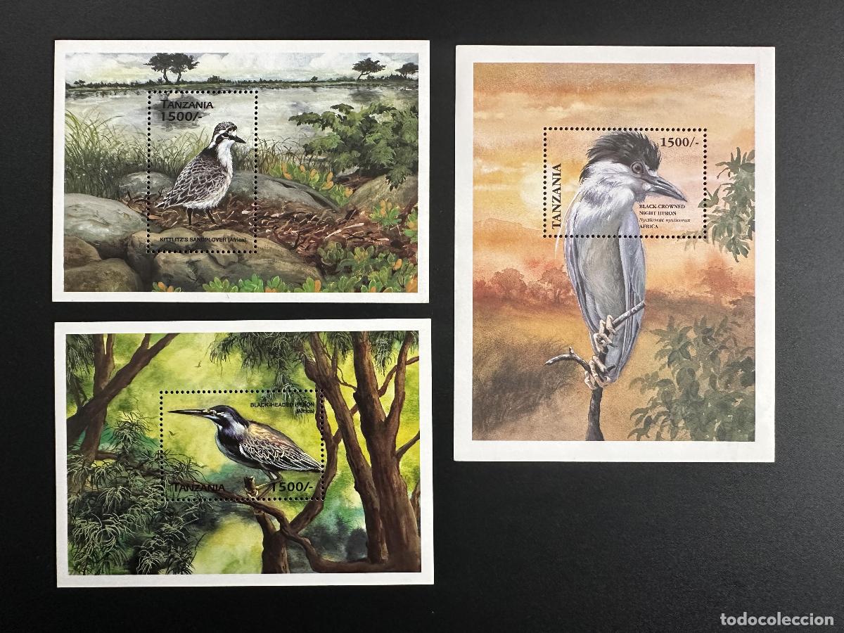 Sellos: Tanzania 1999 Bl. 446-448 Aves del mundo Garzas