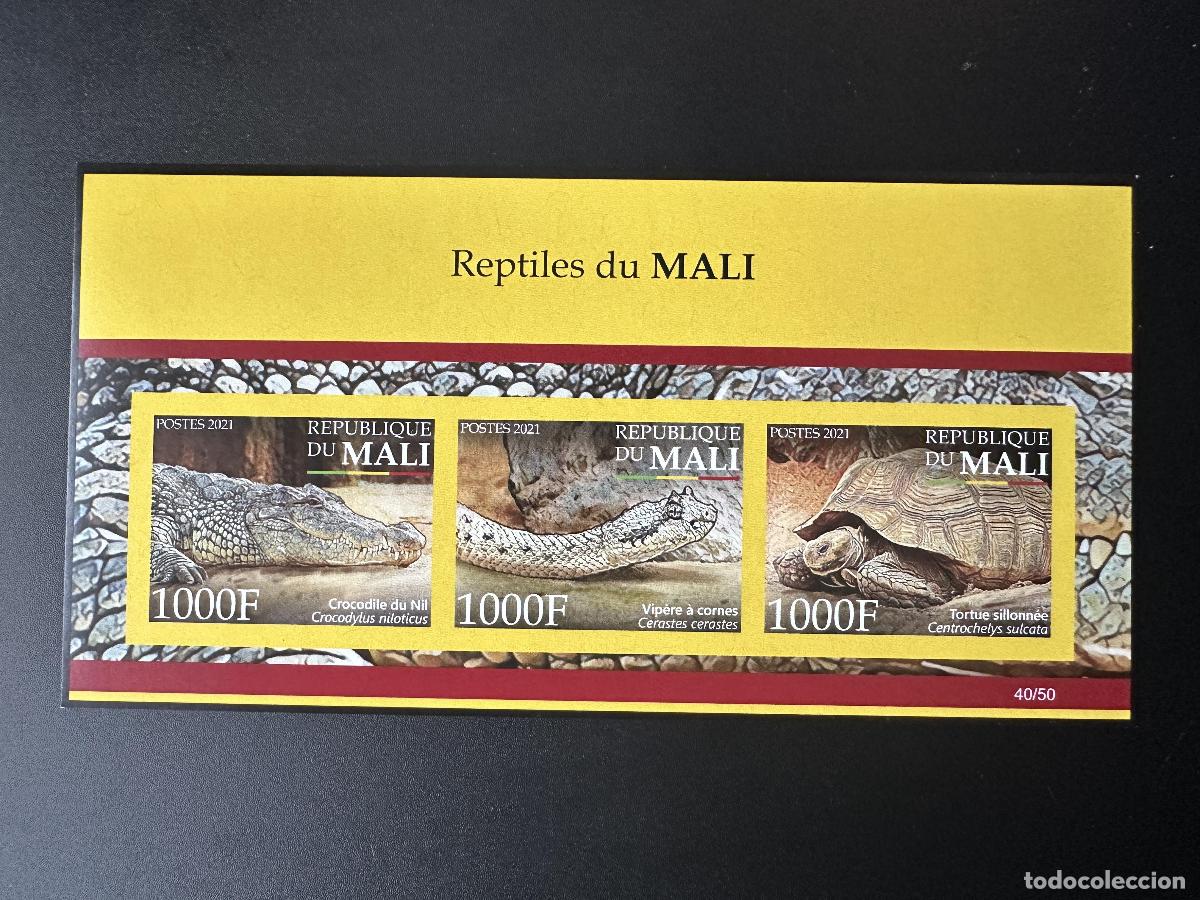 Stamps: Mali mayo de 2021.? M/S ND: Biodiversidad fauna reptiles serpientes tortugas cocodrilos