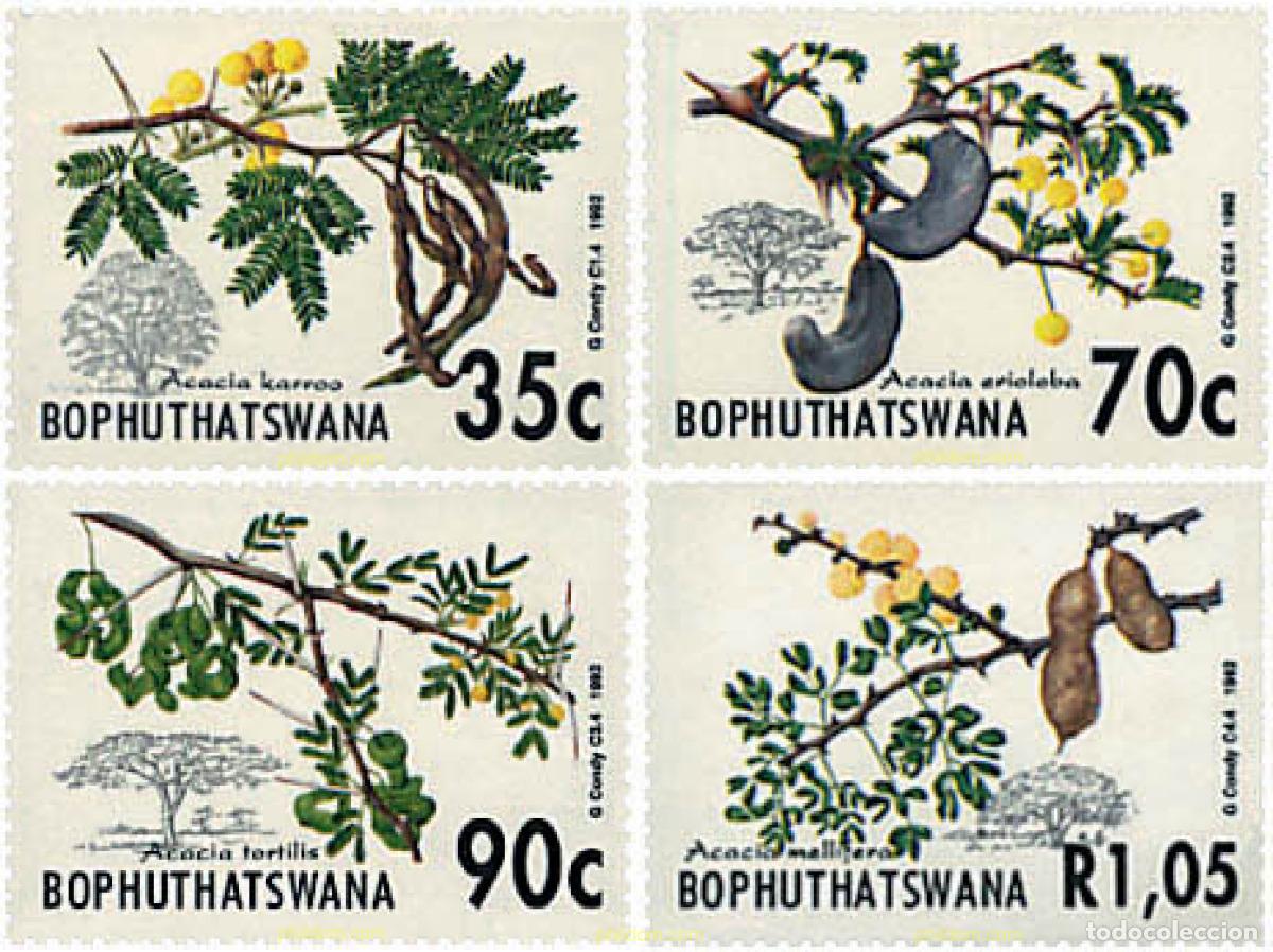 Sellos: 81553 MNH BOPHUTHATSWANA 1992 ACACIAS