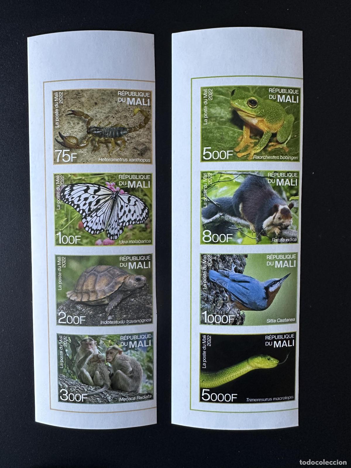 Sellos: Mali &iquest;mayo de 2022? ND: Fauna end&eacute;mica: India tortuga p&aacute;jaro serpiente rana mariposa