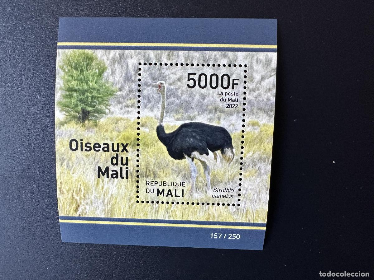 Sellos: Mali de mayo 2022. &iquest;Bl.? P&aacute;jaros V&ouml;gel Avestruz Strau&szlig;