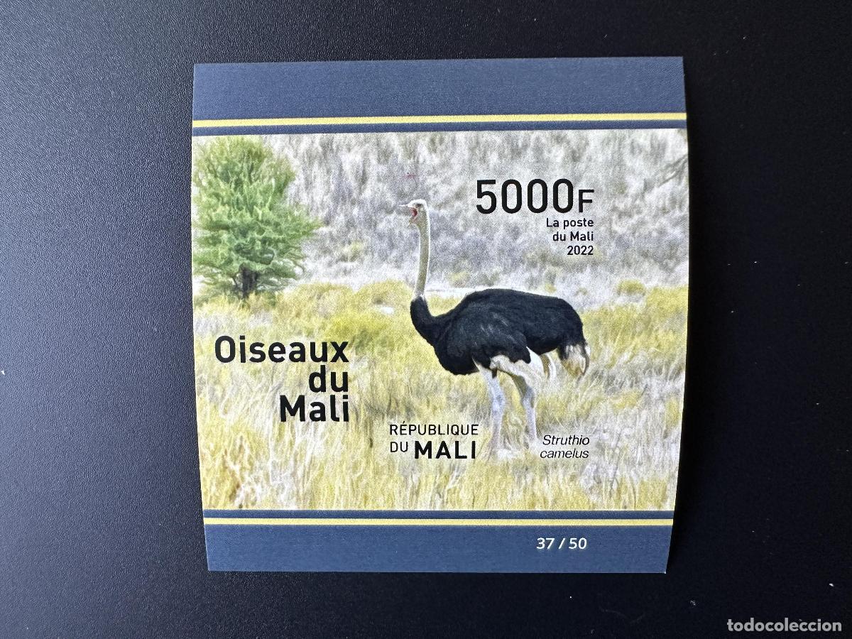 Sellos: Mali de mayo 2022. &iquest;Bl.? ND IMPERF Birds V&ouml;gel Ostrich Strau&szlig;
