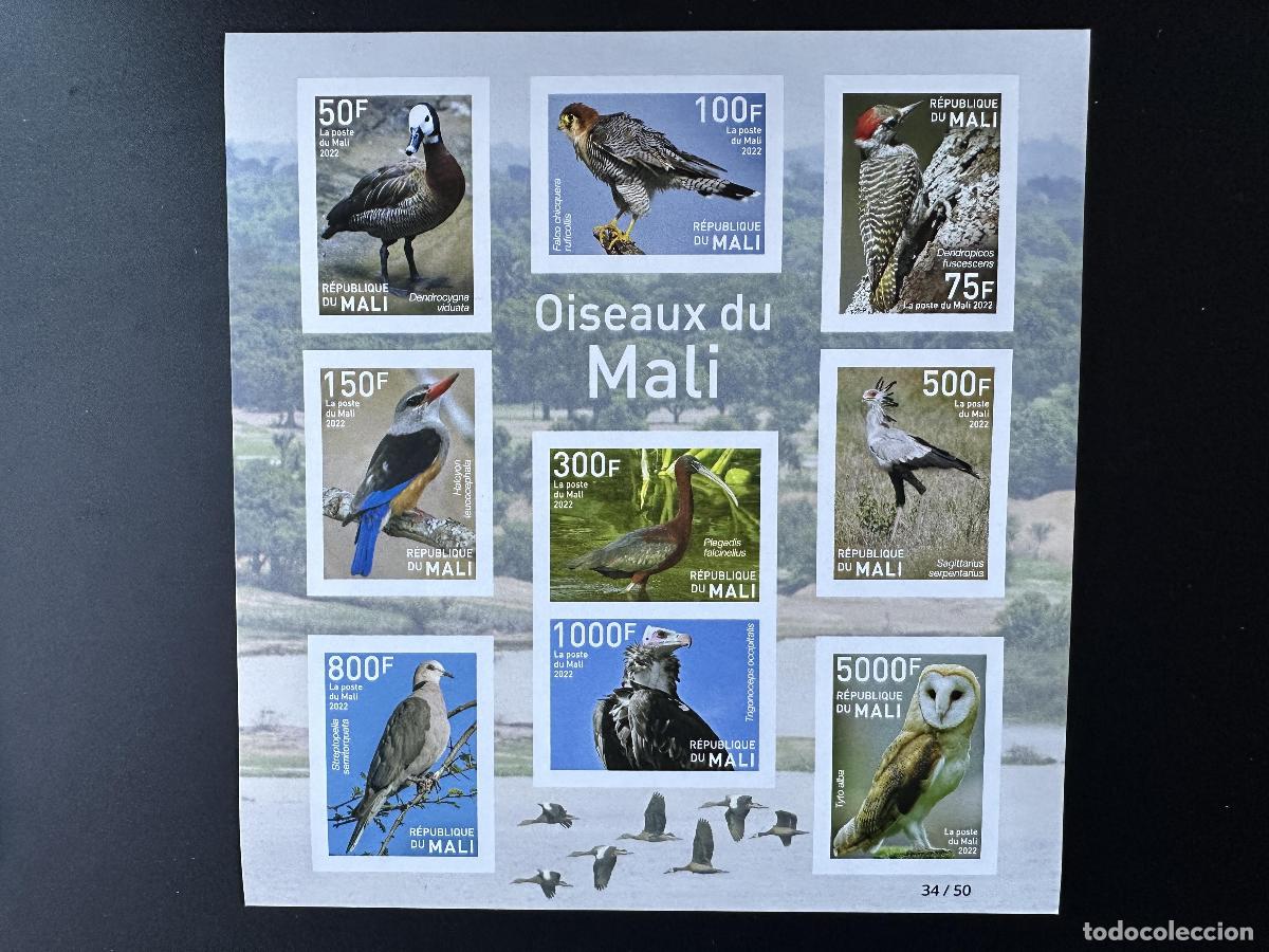 Sellos: Mali de mayo 2022. &iquest;Bl.? ND Birds avestruz pato raptor &aacute;guila b&uacute;ho